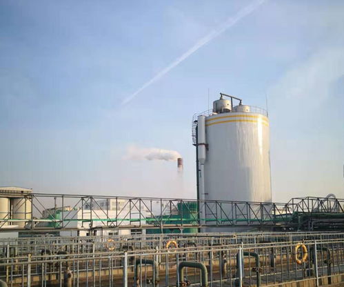 一体化厌氧罐调试全流程解析 从上饶嘉源环境工程实践看技术要点