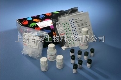 人环磷酸鸟苷(cGMP)ELISA试剂盒 详细指导与可靠售后